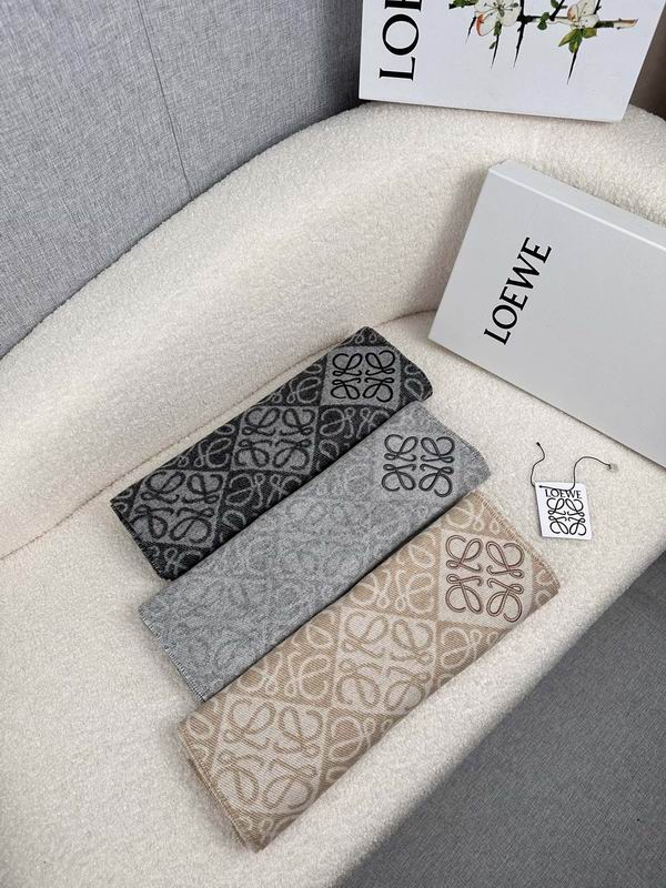 Loewe scarf 180X60cm E07